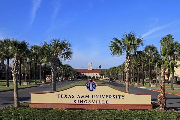Texas A&M University–Kingsville
